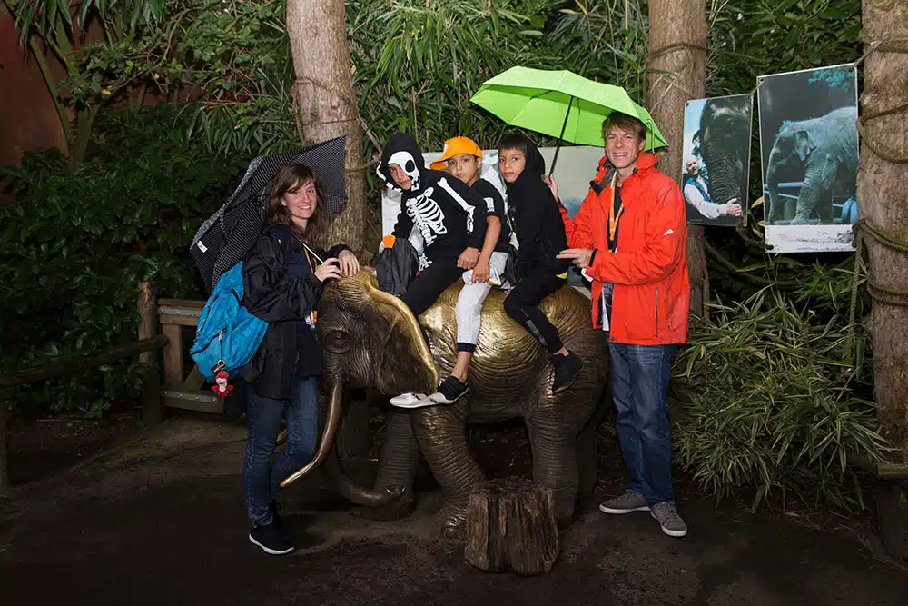 Dierenpark Amersfoort 6 zomertour 2017